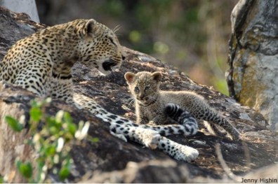 SP_Oct11_1-3-680x452