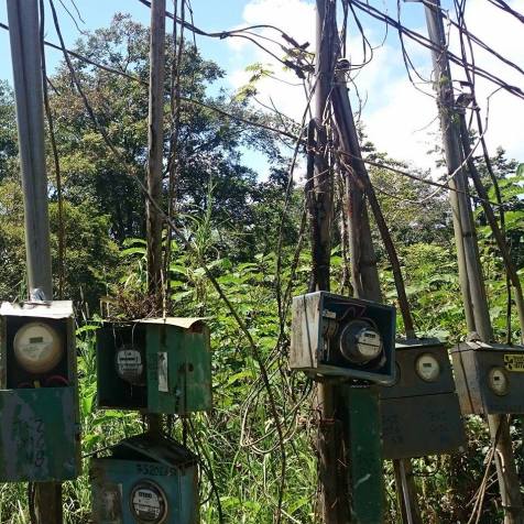 12047646_10100307954500520_1468807158_n