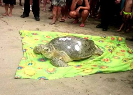 12059919_10100307954570380_1839289923_o