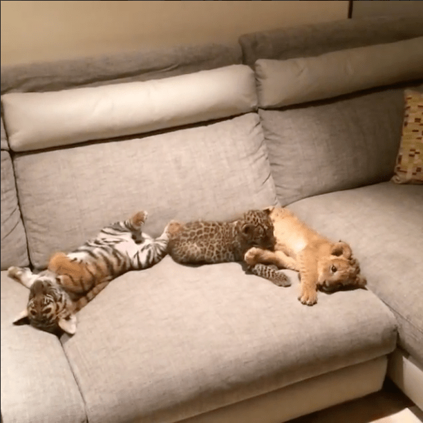 Captura de pantalla 2015-01-27 a la(s) 21.34.02