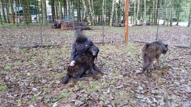 10407919_881852988501613_5252432919095967240_n