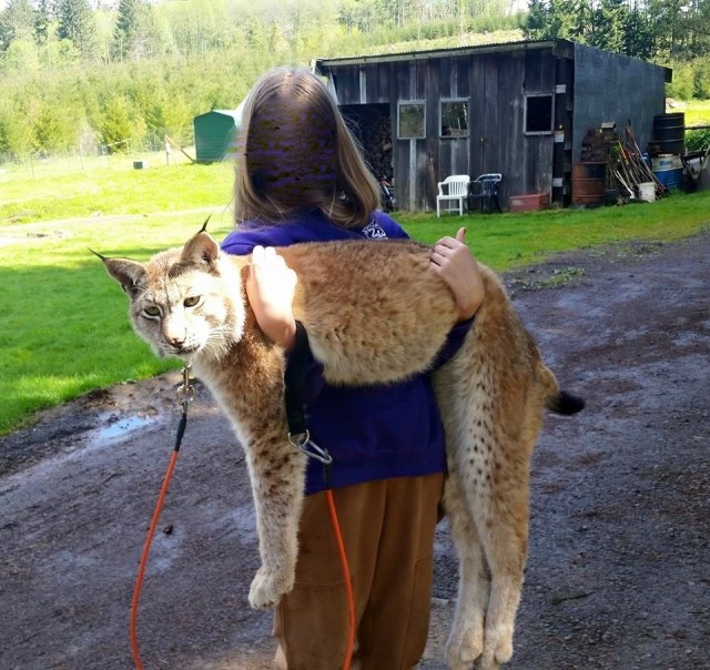 10897820_981064495247128_6296909500943637704_n