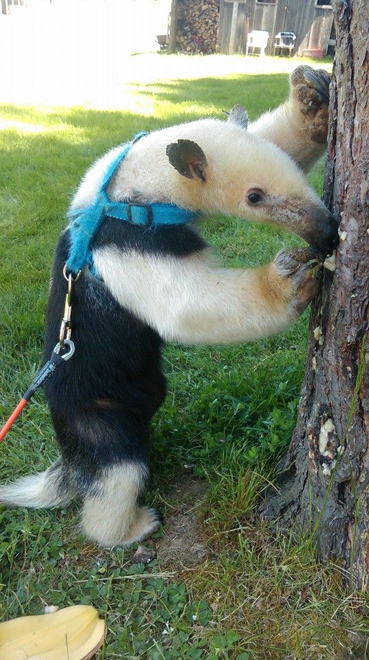 1970650_991816970838547_917313978964930368_n