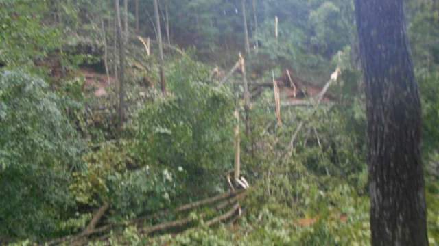 13466127_1295646087115553_2041012288068895228_n