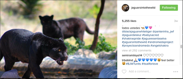 Screen Shot 2016-07-15 at 11.39.27 AM