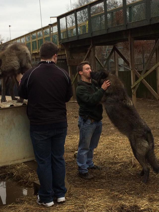 15267704_1629715510387411_3245324882861448223_n